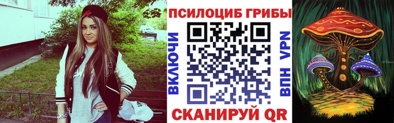 купить  сайты  Любим  Галлюциногенные грибы мухоморы 